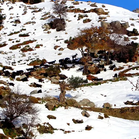 Makronas Karystos (Evia)