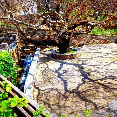 Makronas * Karystos (Evia)